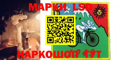 крисы Кунгур