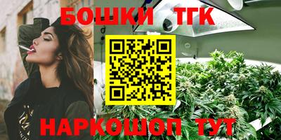 крисы Кунгур