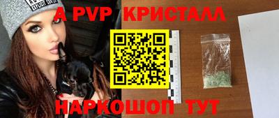 крисы Кунгур