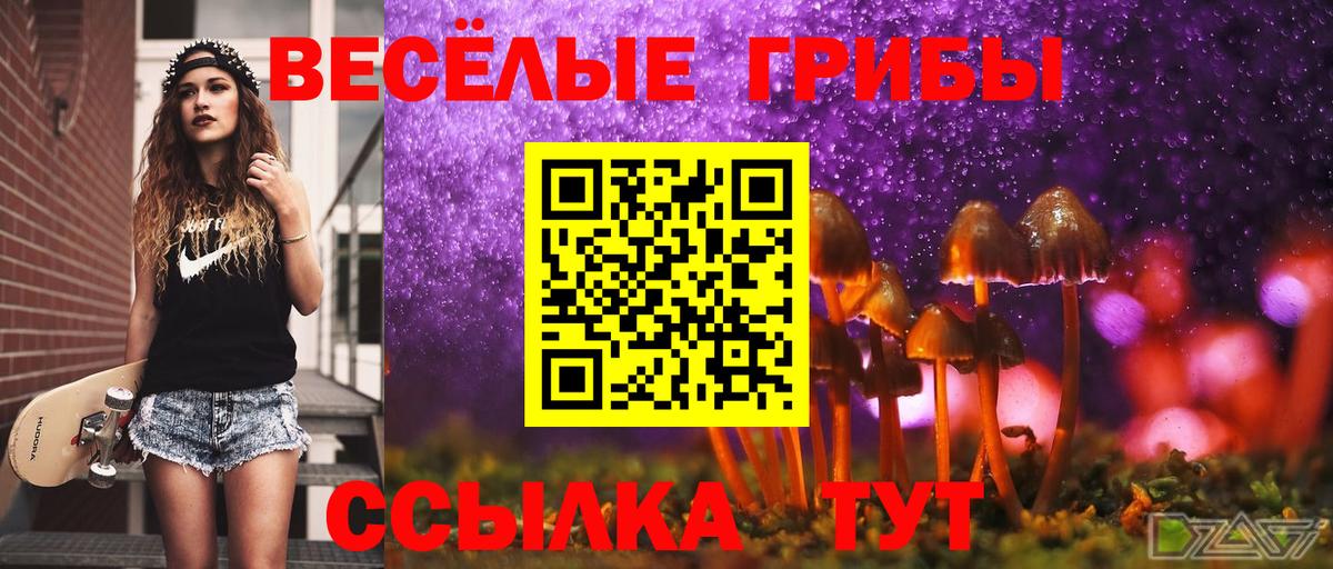 Псилоцибиновые грибы Psilocybe  Вход с VPN  Избербаш 